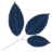 Phyto