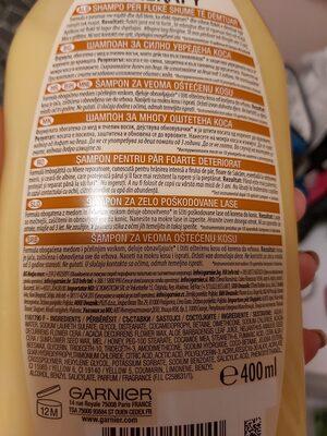 garnier botanic therapy