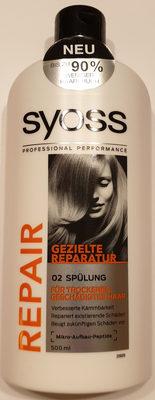 Repair gezielte Reparatur 02 Spülung