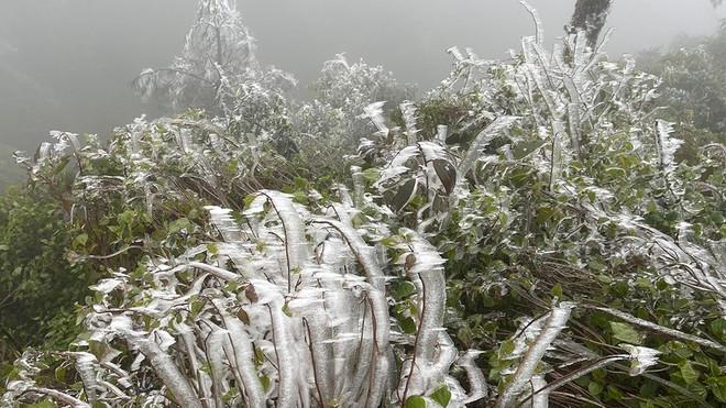 Thời tiết ngày 12/1: Hà Nội nhiệt độ tăng, trưa chiều giảm mây trời có nắng