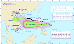 Bão Movale là một trong những cơn bão mạnh nhất trong 20 năm qua