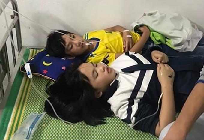 Nghệ An: 16 học sinh bị ong rừng tấn công ngay trong sân trường