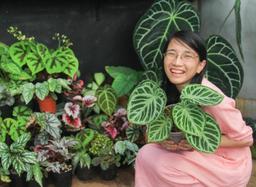 Nữ designer vì yêu rừng mà cải tạo nhà kho thành nhà vườn mini, trồng kiểng lá xanh tươi mướt mắt