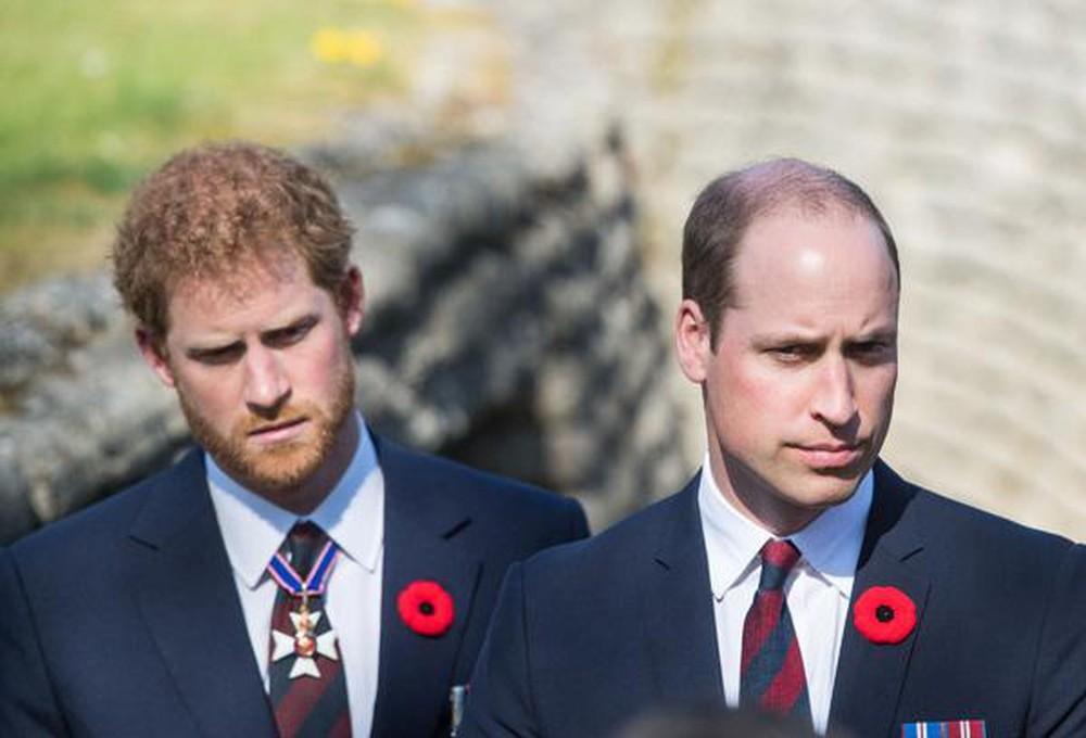 Mâu thuẫn giữa William và Harry làm Hoàng gia "đau" như cái chết của Diana