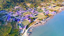 Banwol, hòn đảo tím lịm thu hút khách du lịch của Hàn Quốc