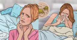 Những tác hại khôn lường khi không giặt vỏ gối, chăn ga thường xuyên