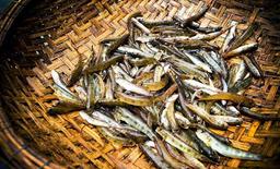 Cá bống vùi tro, đặc sản hấp dẫn, ăn một lần là nhớ đến từ Lai Châu