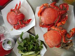 Đến Lý Sơn thưởng thức 5 món ngon quên lối về