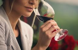 Cẩm nang thử rượu vang đúng cách và nhận biết rượu vang ngon