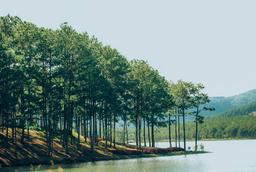 Khám phá các điểm du lịch đẹp ở Đà Lạt chỉ trong chỉ một ngày