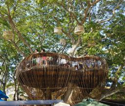 3 quán độc đáo ở Cần Thơ bạn đã biết chưa?