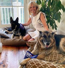 Chú chó được nhận nuôi từ trạm cứu hộ sẽ trở thành "đệ nhất khuyển" của Mỹ