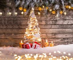 Cách làm cây thông Noel bằng củi khô đẹp mà chất lừ chi phí chỉ từ 100 ngàn