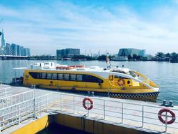 Waterbus - trải nghiệm buýt đường thủy độc đáo trên sông Sài Gòn