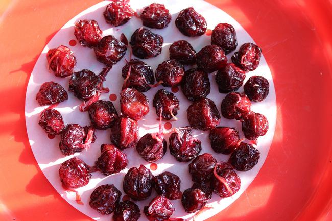 Cách làm mứt mận hậu tươi vừa dẻo vừa ngon, không cần dùng nước vôi trong