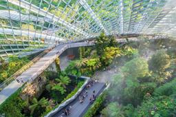 7 trải nghiệm nhất định phải làm với ai lần đầu du lịch Singapore