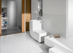 Bồn rửa tích hợp toilet: Món nội thất thông minh dành cho phòng tắm nhỏ