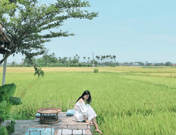3 quán cà phê Hội An có view đồng lúa thơ mộng làm mới chuyến du lịch Hội An quen thuộc
