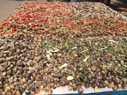 Lía phơi, món đặc sản lạ mà quen, không dành cho người yếu bụng ở An Giang