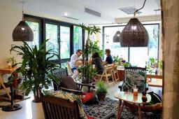 4 nhà hàng chay kiểu Âu ngon nhất Hà Nội, giá bình dân, không gian lịch sự