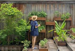 Những khu vườn vạn người mê của Sao Việt: Hà Tăng, Quyền Linh đều bội thu rau xanh, trái cây