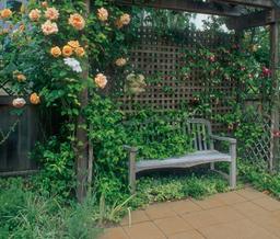 10 góc thư giãn ngoài sân nhỏ mà có võ chỉ nhìn cũng thấy mọi mệt mỏi được xua tan