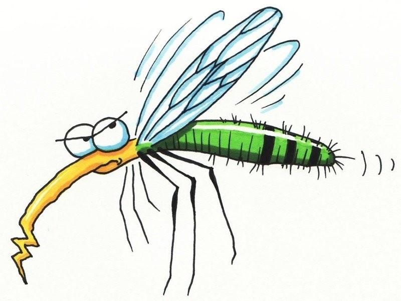 Phát hiện mới: Mặc màu đỏ dễ bị muỗi đốt hơn