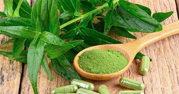 Xuyên tâm liên là gì? Xuyên tâm liên chứa chất gì mà phòng ngừa được Covid?