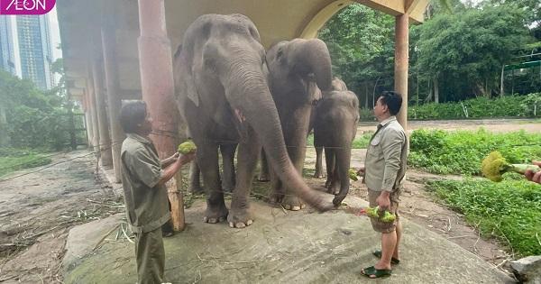 Đã có đơn vị hỗ trợ thức ăn cho muông thú ở Thảo Cầm Viên TP.HCM