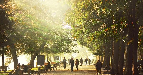 Cuối tuần cuối tháng 3: Bắc Bộ nắng ấm, hợp du xuân; Nam Bộ nắng nóng cục bộ