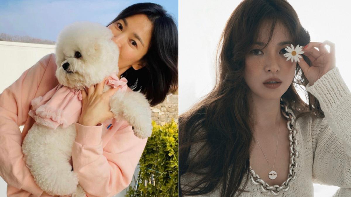 Song Hye Kyo khoe mặt mộc ở tuổi 41, cộng đồng mạng lại dịp trầm trồ