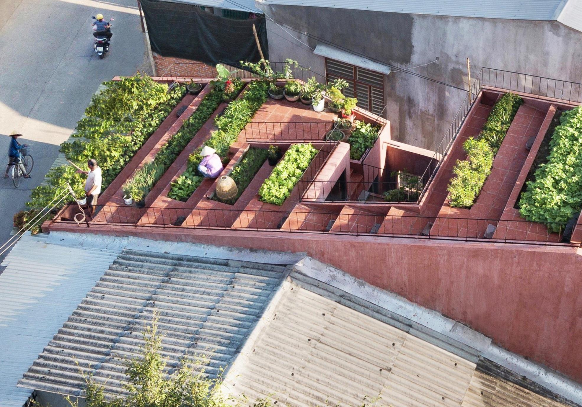 Ngắm ngôi nhà 7 bậc thang trồng rau trên mái ở Quảng Ngãi vừa đoạt giải kiến trúc quốc tế