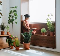 Ghế băng cửa sổ, góc chill cho những kẻ mộng mơ có nơi "trú ẩn" an yên ngay ở nhà