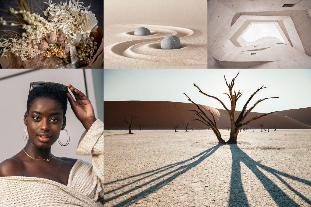 Shutterstock dự đoán 3 gam màu sẵn sàng thống trị làng thời trang 2021