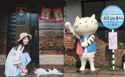 Làng mèo Hầu Động, thiên đường dành cho team yêu mèo tại Đài Loan