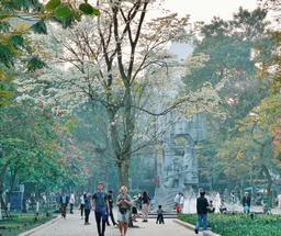 4 loài hoa làm nên hương sắc Hà Nội, ai ngắm cũng xiêu lòng trong những ngày tháng 3