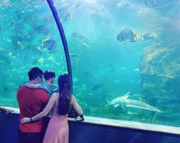 4 điểm vui chơi cuối tuần thú vị cho gia đình có con nhỏ gần Hà Nội