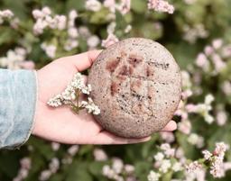 6 món đặc sản Hà Giang vừa ngon vừa bổ, không đâu có