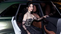 Diệp Lâm Anh tiếp tục gặp chuyện không hay sau khi bị gắn định vị vào xe