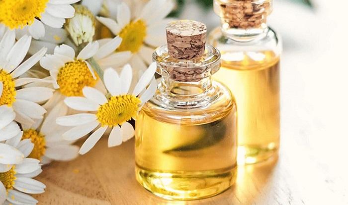 Các loại dầu tốt nhất dùng để chăm sóc mái tóc