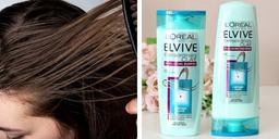 Top 5 loại dầu gội dành cho da dầu bạn không thể bỏ qua