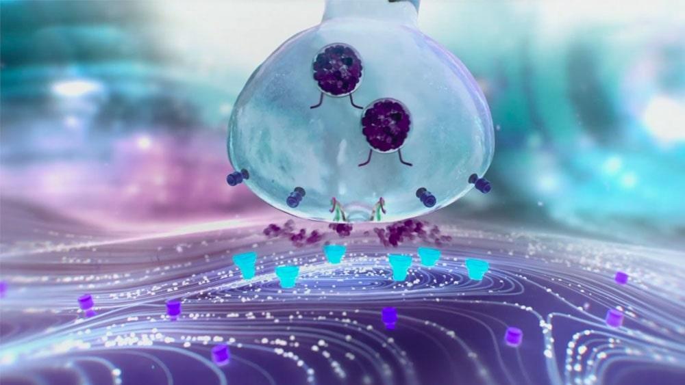 TINH CHẤT TRƯỜNG “XINH” BẤT LÃO MUNAPSYS – BÍ QUYẾT TRẺ HOÁ THẦN KỲ