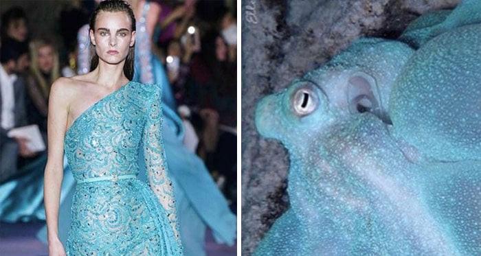 Khi thời trang và thế giới động vật giao thoa