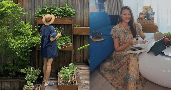 Hôm qua sao làm gì (15/7): Tăng Thanh Hà khoe vườn rau xanh mướt