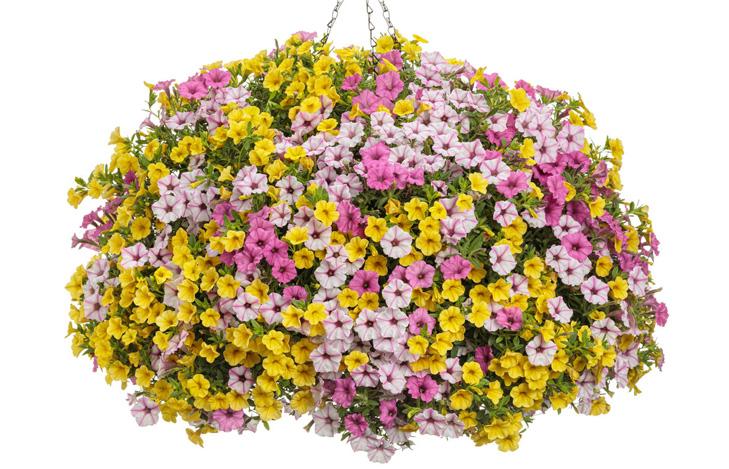 Tử vi hôm nay của 12 cung hoàng đạo, thứ 5 ngày 30/9/2021: Song Tử sẽ giải quyết được nhiều vấn đề nan giải