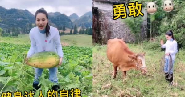 "Tiểu Long Nữ" Lý Nhược Đồng bỏ phố về quê đào khoai, chăn bò