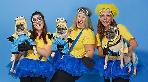 Halloween 2020: Hài hước làm nên điểm nhấn