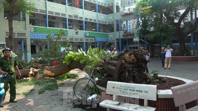 Những vụ tai nạn trường học thương tâm từ cuối năm 2019 đến nay