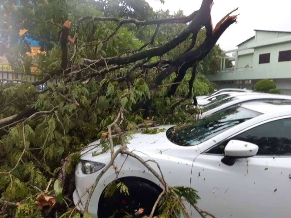 Bão số 5 khiến 1 người tử vong, 23 người bị thương nặng