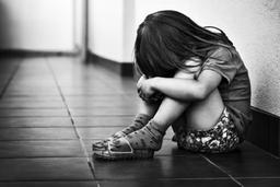 Nghệ An: Bảo vệ trường học dụ cháu bé quan hệ tình dục rồi quay clip lại